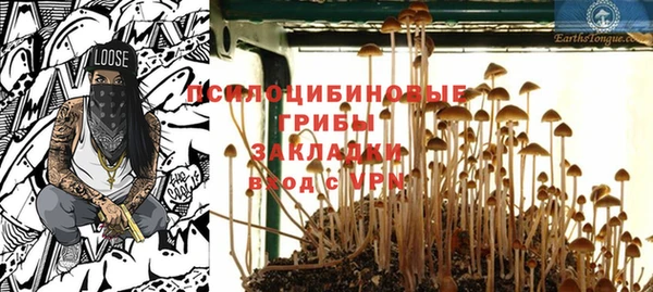apvp Беломорск
