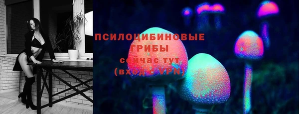 apvp Беломорск