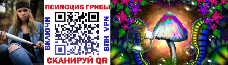 Купить закладки  Лосино-Петровский  Псилоцибиновые грибы Psilocybine cubensis 